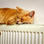 Як помити батарею всередині - кращі методи