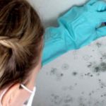 Як безпечно і недорого знищити цвіль в будинку